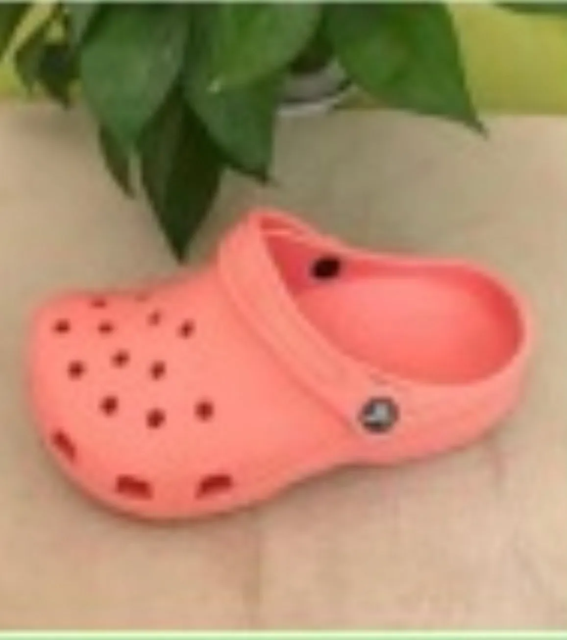 $25 Sale Men/Women Regular Crocs